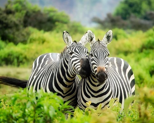 10 Days Budget-Friendly Nairobi & Cape Town Combo Experience