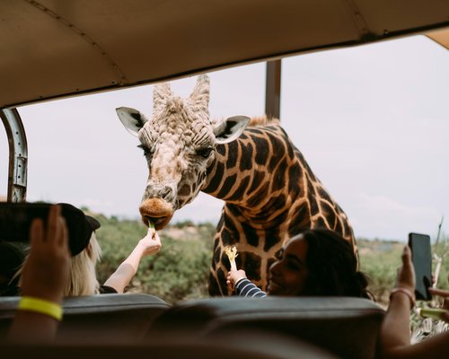 Budget-Friendly Nairobi & Dubai Combo – 9 Days of Culture, Shopping & Adventure